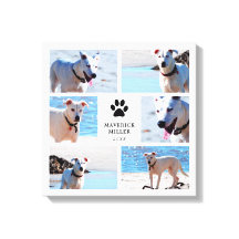 Paw Prints - FotoCollage für Hunde