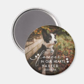 Paw Prints für immer in unserem Herz-Haustier-Foto Magnet (Vorderseite/Rückseite)