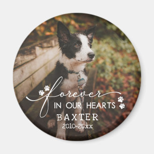 Paw Prints für immer in unserem Herz Pet Foto Magnet