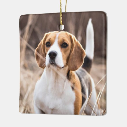 Paw Prints für immer Personalisiertes Foto Pet Mem Keramikornament (Links)