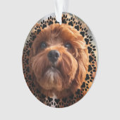 Paw Prints & Hearts Custom Pet Photo Ornament (Vorderseite)