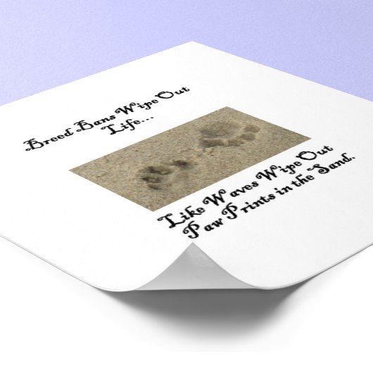 Paw Prints im Sand Poster (Ecke)