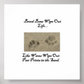Paw Prints im Sand Poster (Vorne)