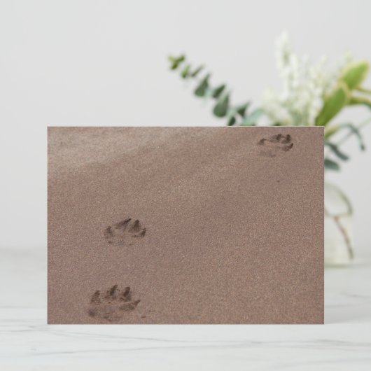 Paw Prints in Sand Einladung (Stehend Vorderseite)