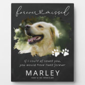 Paw Prints Keepake Pet Memorial Foto Plaque Fotoplatte (Vorderseite)