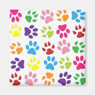 Paw Prints Magnet