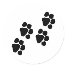 Paw Prints