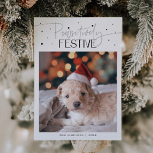 Paw-sitiv Festlicher Hund Weihnachten Foto Weiße W