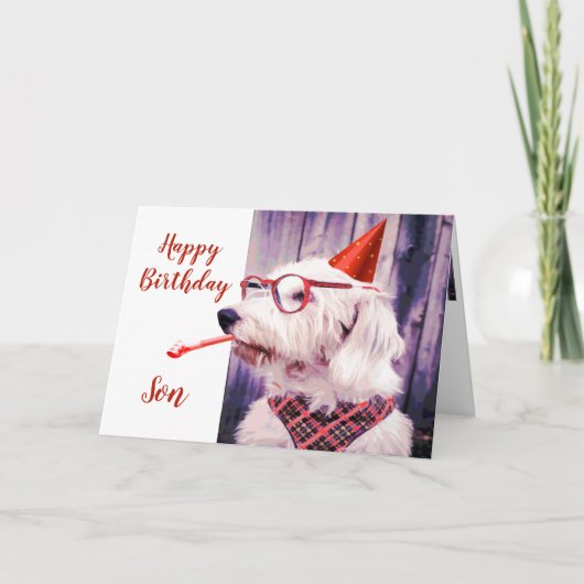 Paw-sitiv Grr-eat Birthday Son Fun Dog Karte (Vorderseite)