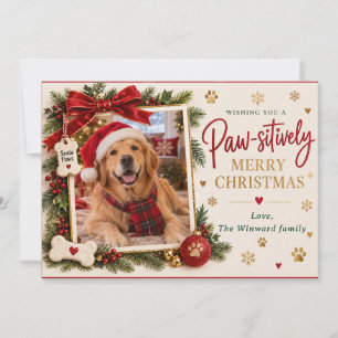 Paw-sitiv weihnachtliche Hunde-Foto-Weihnachtskart Feiertagskarte