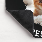 Paw Sitive Vibes Only Cat Photo Black Mousepad (Ecke)