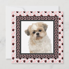 Paw-ty Hund Geburtstagsparty oder Doggie treffen Einladung