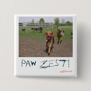 Paw zest! button