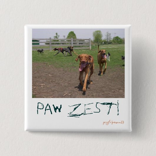 Paw zest! button (Vorderseite)