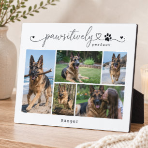 Pawfekt weißes Andenken mit fünf Fotos Fotoplatte