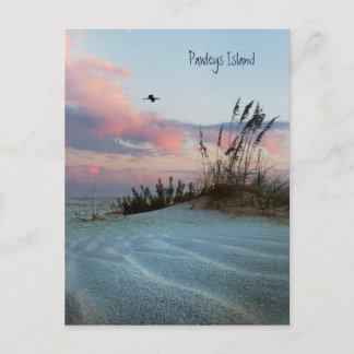 Pawley Island Dune Sunset Postcard Postkarte