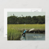 Pawley Island Fishing Postcard Postkarte (Vorne/Hinten)