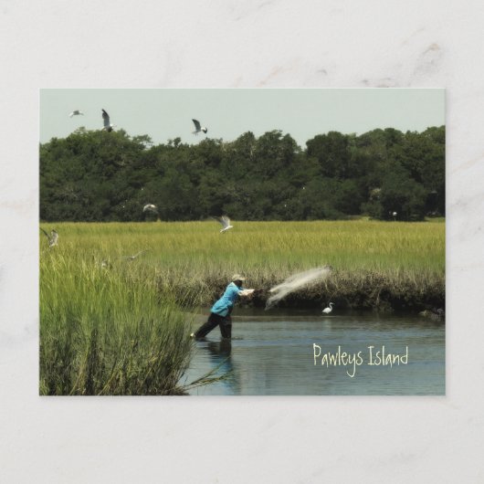 Pawley Island Fishing Postcard Postkarte (Vorderseite)