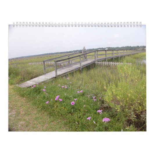 Pawley Island Large Wall Calendar Design 3 Kalender (Titelbild)