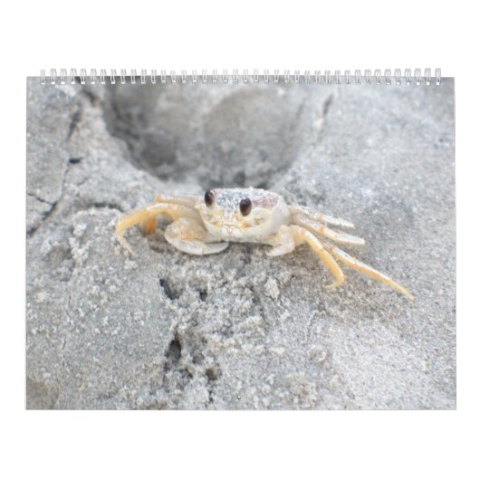 Pawleys Insel-großer Wandkalender-Entwurf 2 Kalender (Titelbild)