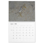 Pawleys Island Large Wall Calendar (Design 3) Kalender (Mär 2026)