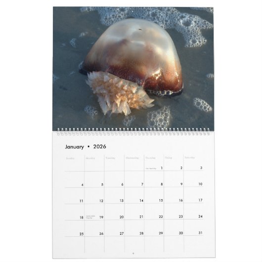 Pawleys Island Large Wall Calendar (Design 3) Kalender (Jan 2026)