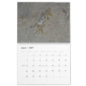 Pawleys Island Large Wall Calendar (Design 3) Kalender (Mär 2027)