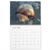 Pawleys Island Large Wall Calendar (Design 3) Kalender (Jan 2027)