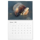 Pawleys Island Large Wall Calendar (Design 4) Kalender (Feb 2026)