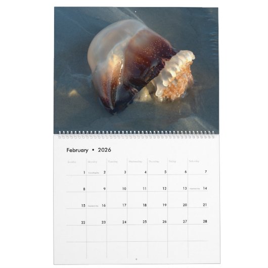 Pawleys Island Large Wall Calendar (Design 4) Kalender (Feb 2026)