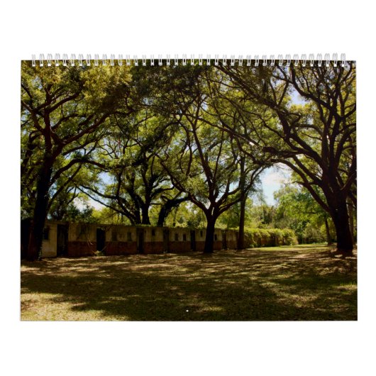 Pawleys Island Large Wall Calendar (Design 4) Kalender (Titelbild)