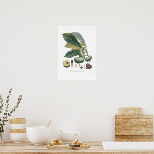 Pawpaw Poster (Küche)