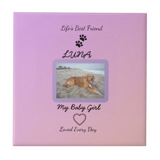 Pawprint Heart Everyday Pet Fliese (Vorderseite)