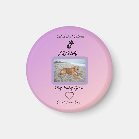 Pawprint Herz Pet Freude Magnet (Vorne)