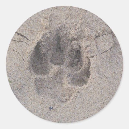Pawprint Sticker (Vorderseite)