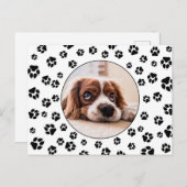 Pawprints Puppy-Foto Postkarte (Vorne/Hinten)