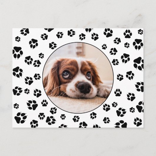 Pawprints Puppy-Foto Postkarte (Vorderseite)