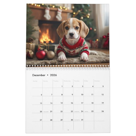 Paws and Playfulness: Welpenkalender 2024 Kalender (Dez 2026)