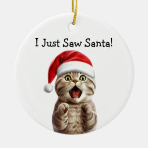 Paws-Fest Cat Ornament