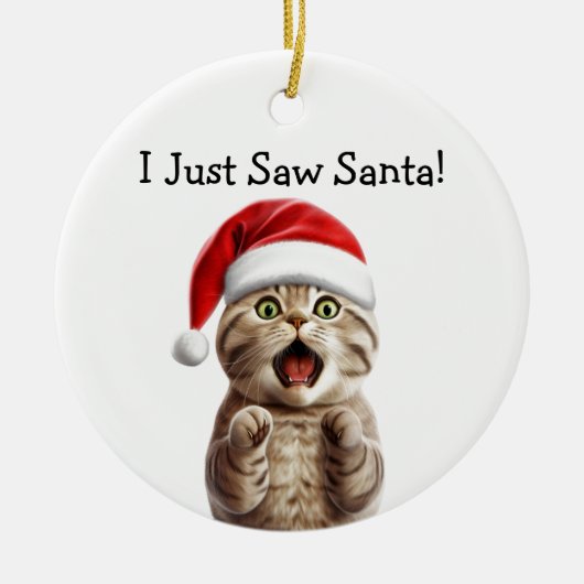 Paws-Fest Cat Ornament (Vorne)