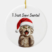 Paws-Fest Cat Ornament (Hinten)