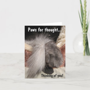Paws for thought: Paw and Tail Karte