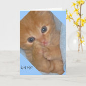 PAWS-ITITIV MARVELOUS GEBURTSTAGSKARTE KARTE (Gelbe Blume)