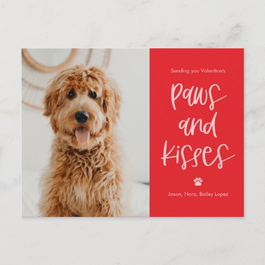 Paws Kisses Pets Valentinstag Postkarte (Vorderseite)
