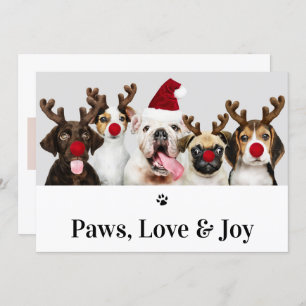 Paws Liebe und Jog Hund Weihnachten 5 Fotokarte Einladung