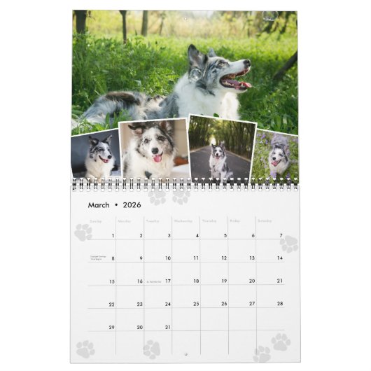 Paws Monatliche Foto Collage Pet Fotos Kalender (Mär 2026)