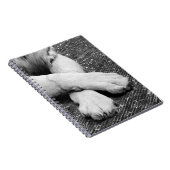 Paws Notizblock (Rechte Seite)