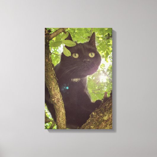 Paws of the Wild Leinwanddruck (Vorderseite)