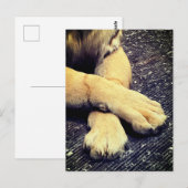 Paws Postkarte (Vorne/Hinten)