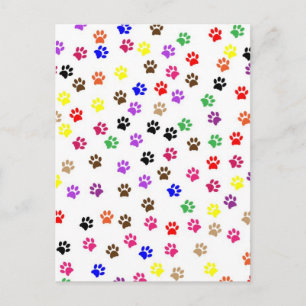 Paws Postkarte